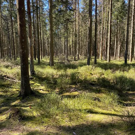 Weserwasser Έουπεν