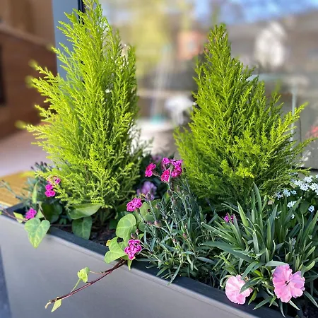 Weserwasser Daire Eupen